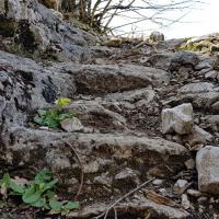 Les marches taillées dans la roche.