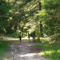 La piste du départ.