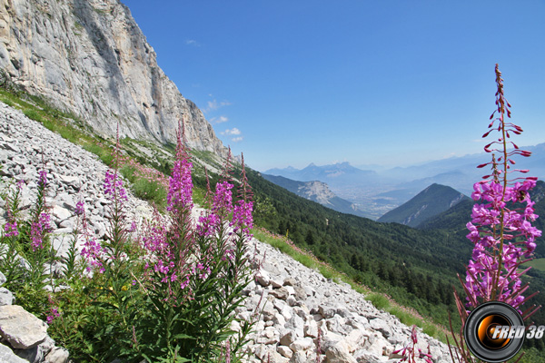 Sentier balcon en versant est.