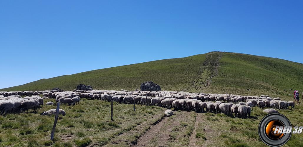 Au pied du Puy de l'Angle.