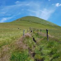 La montée sous le sommet.