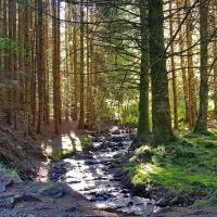 Arrivée sur la cascade du Rossignolet