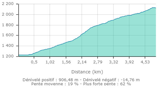 Petite moucherolle carte2