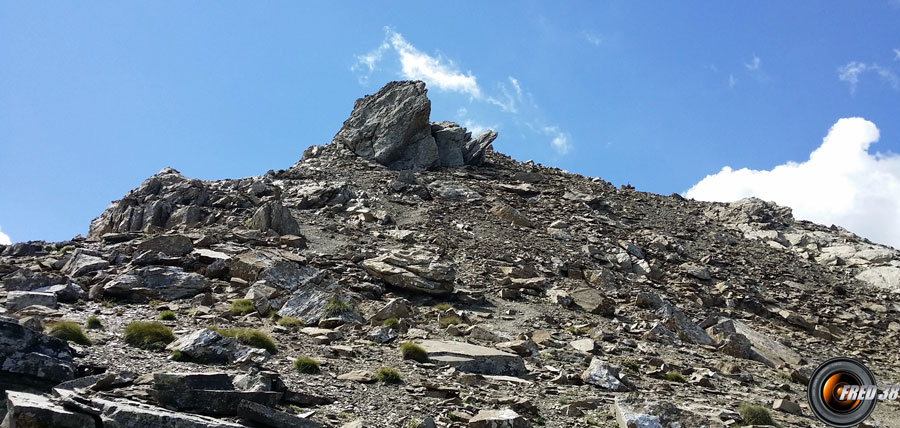 Large crête sommitale