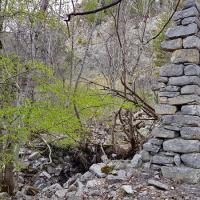 Ruines de la bergerie,