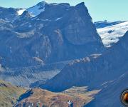 Pied glacier pramort photo