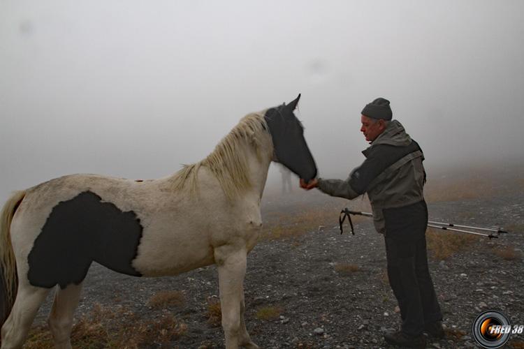 Rencontre dans le brouillard.