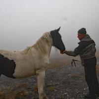 Rencontre dans le brouillard.