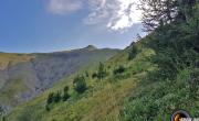 Piolit photo1