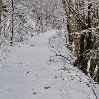 Début de la montée.