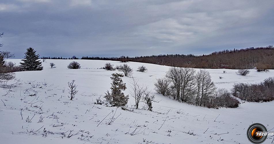 Le point haut du plateau.