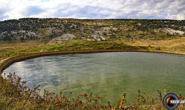 Le grand abreuvoir près du habert de l'Alpe.