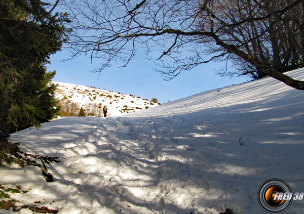 Arrivée sur le plateau.