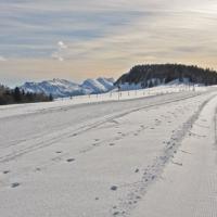 La Molière et la piste de fond d'Autrans.