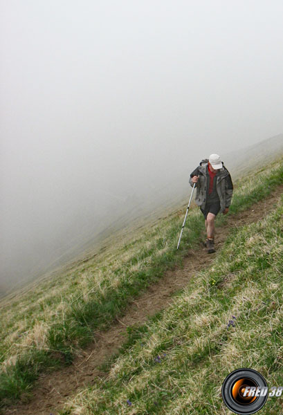 montée dans l'alpage