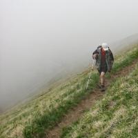 montée dans l'alpage