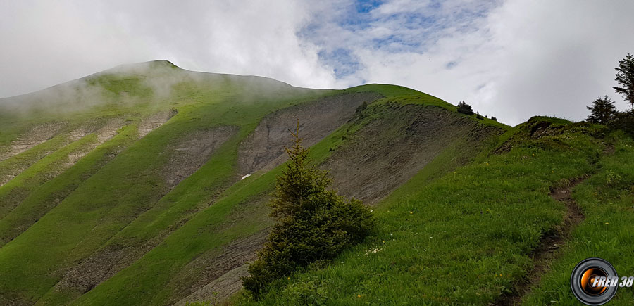 Sentier de la crête sud