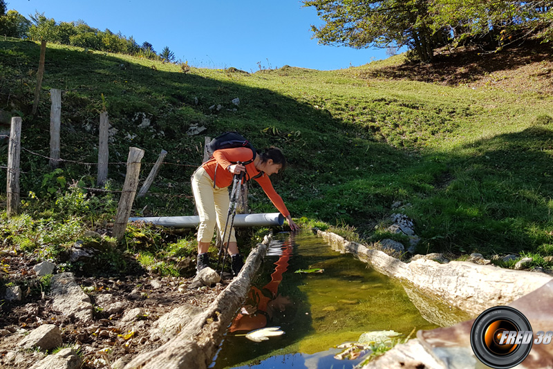 Au col de la Buffaz.