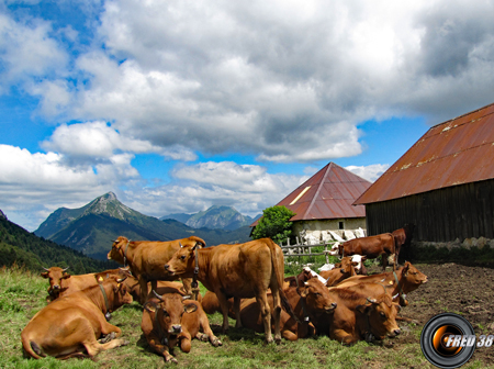 Chalets de la Buffaz.