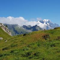 Sur le petit plateau, en fond le Mont-Blanc.