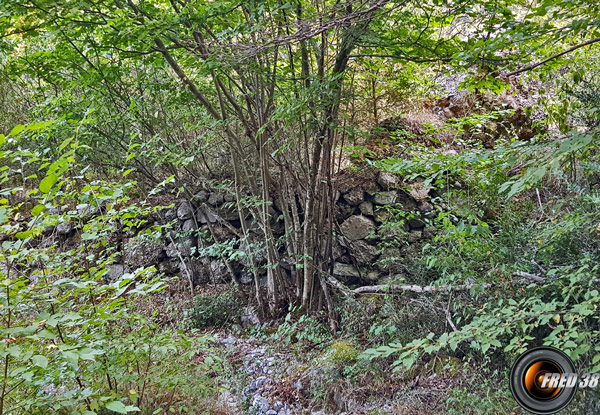 Sentier au fond du vallon de Fontaine Froide.