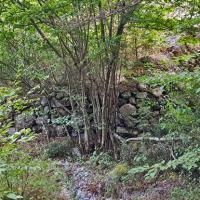 Sentier au fond du vallon de Fontaine Froide.