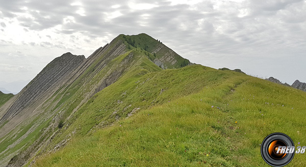 La crête sommitale