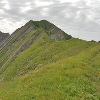La crête sommitale