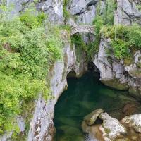 Le pont 
