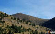 Pointe feuillette lus photo