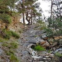 Le sentier au départ.
