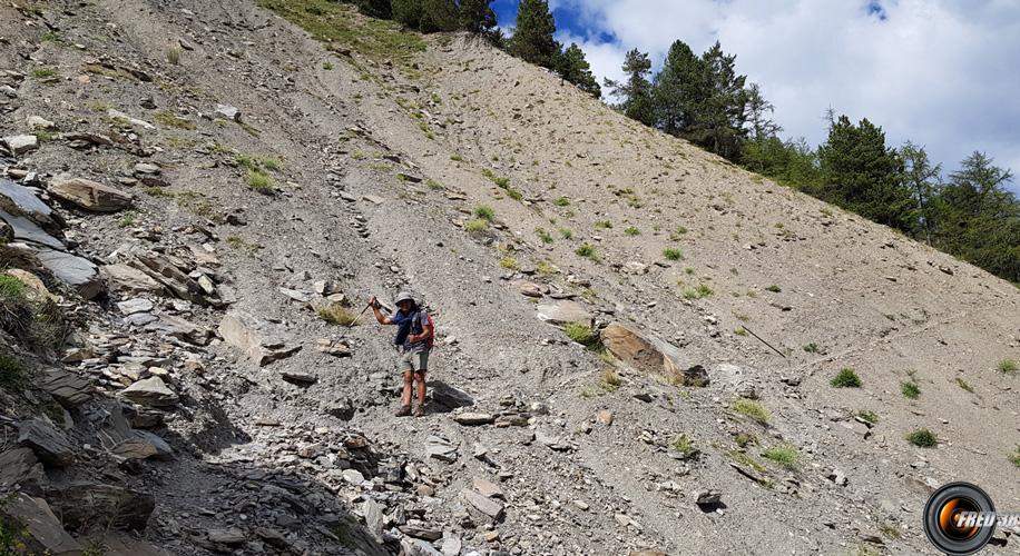 Le couloir d'avalanche dans la variante de descente.