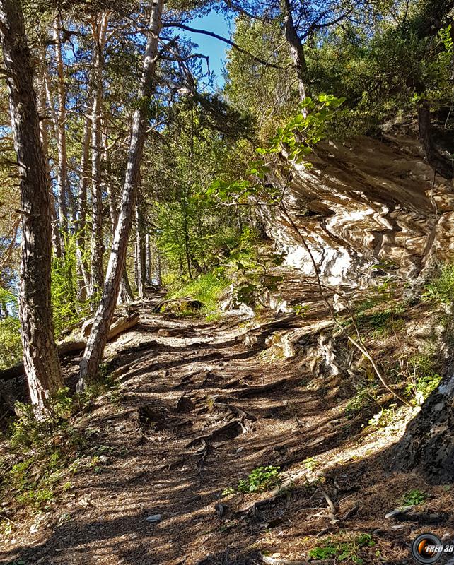 Le sentier avant le Replat.