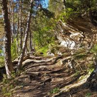 Le sentier au départ.