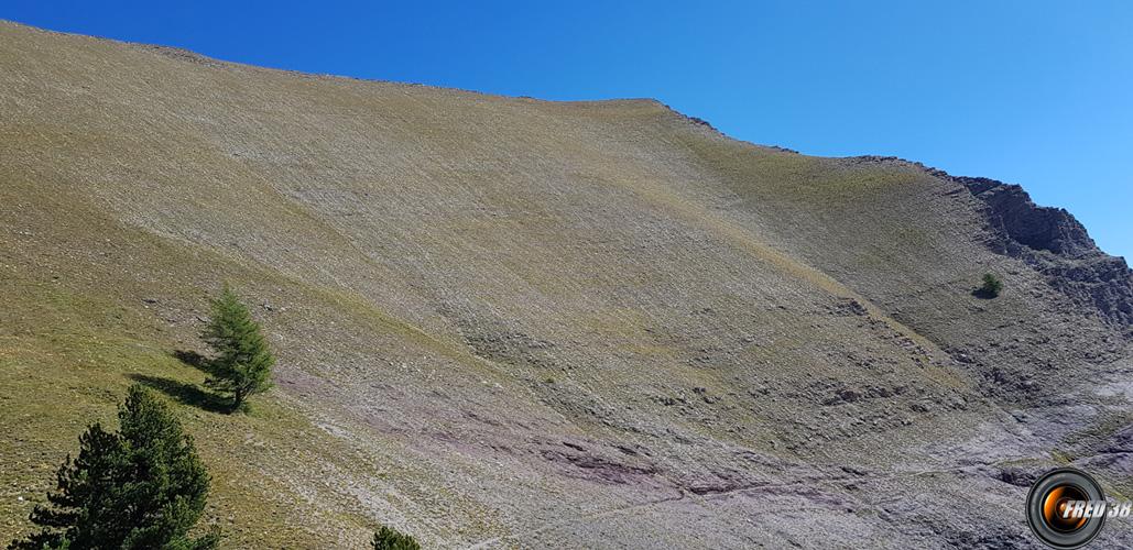 La longue crête sommitale.