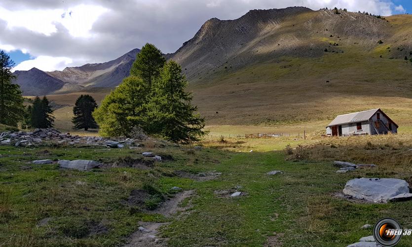 La bergerie et  le vallon de Bachasses.