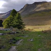 La bergerie et  le vallon de Bachasses.