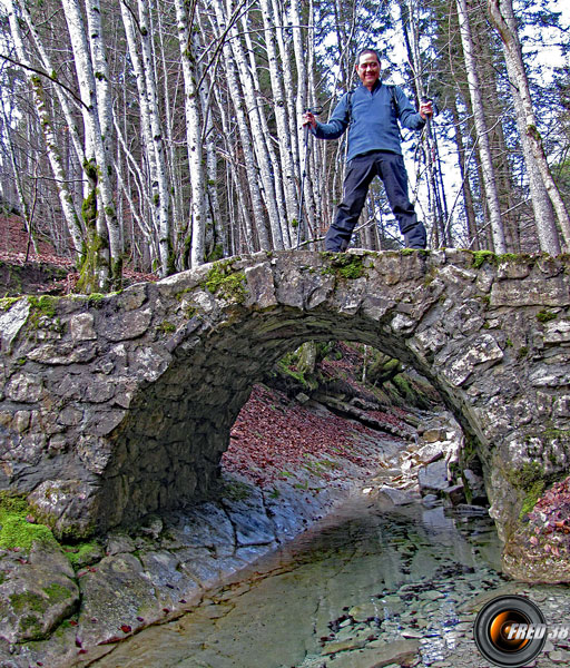 Pont près du Grand Carroz.