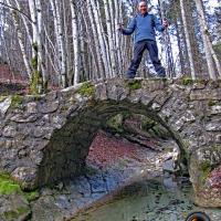 Pont près du Grand Carroz.