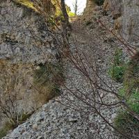 Au Serre de l'Âne.