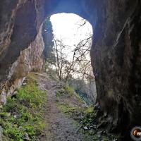 Près du 