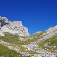 Vallon de Truchière.