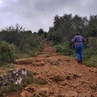 En cours de montée.