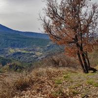 Sommet de Couard