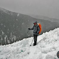 Aprés une coulée de neige.