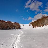 Col de Chironne.