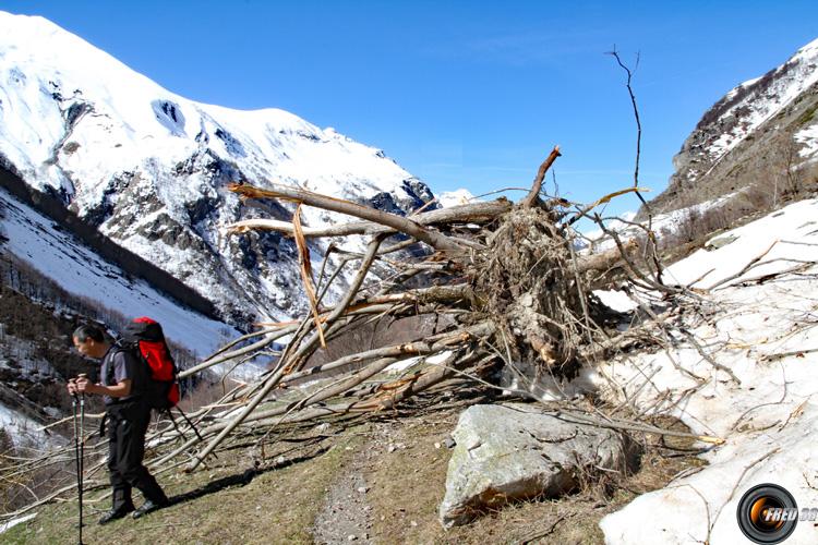 Eboulis sur le sentier