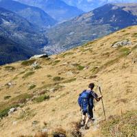 Descente en alpage