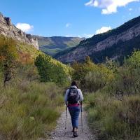 Dans le vallon.