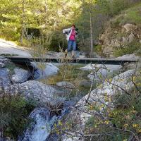 Dans les gorges.